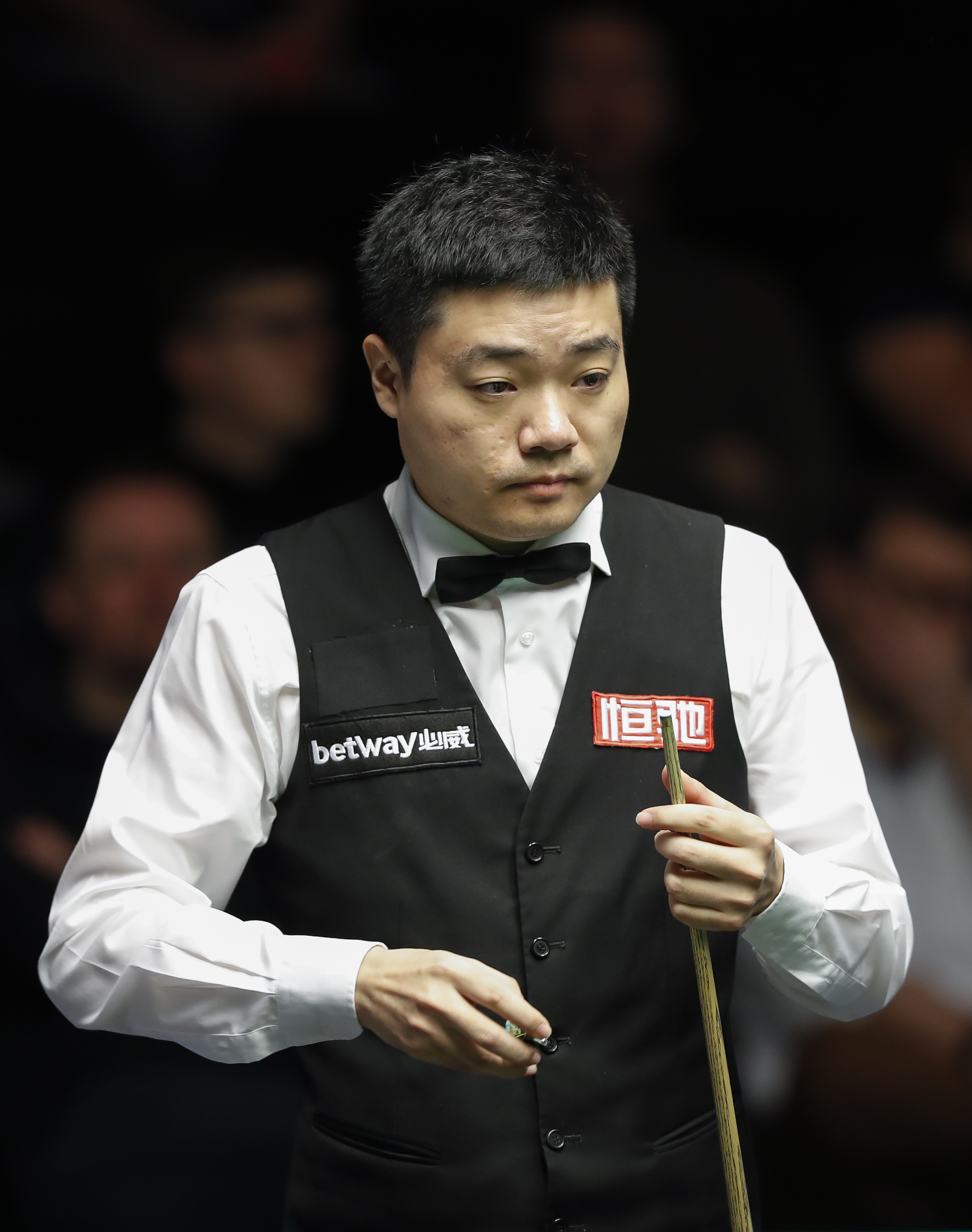 引发了观众 引发了观众